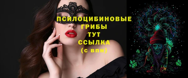 ECSTASY Алзамай