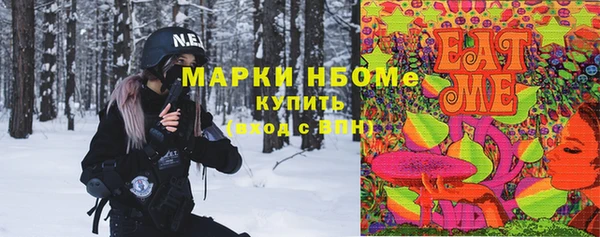 ECSTASY Алзамай