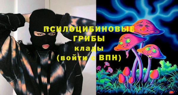 ECSTASY Алзамай