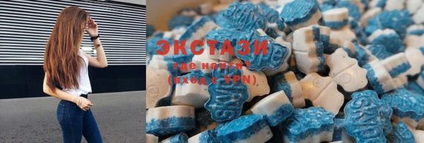 ECSTASY Алзамай