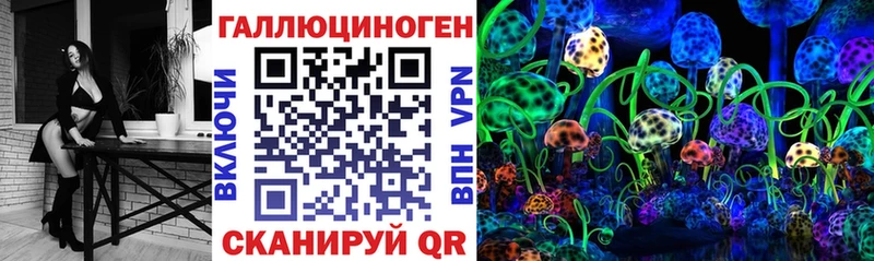 Псилоцибиновые грибы Cubensis Купить Заречный
